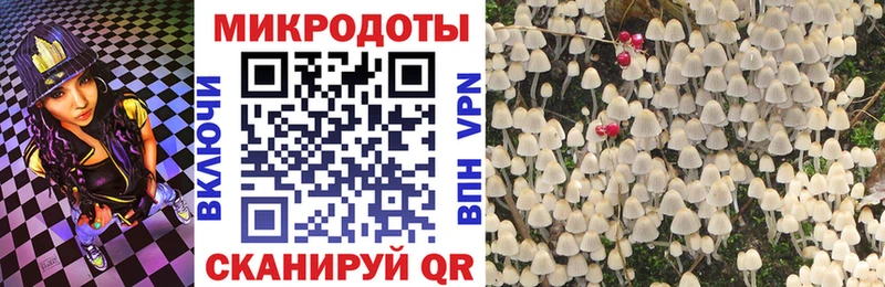 купить Камызяк гидра рабочий сайт Галлюциногенные грибы Cubensis
