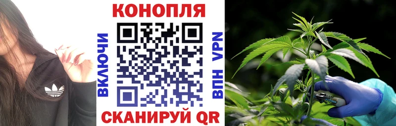 как найти закладки  Камызяк  Бошки марихуана MAZAR 